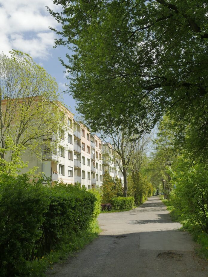 Zrównoważony rozwój w biznesie lokalnym: co warto wiedzieć?