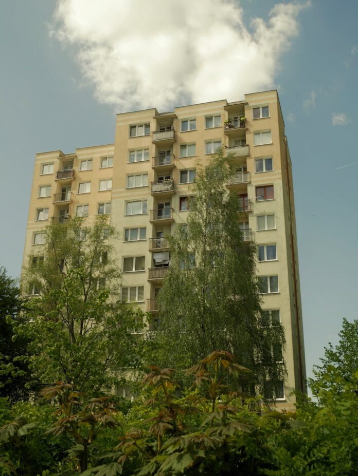 Jakie narzędzia są niezbędne w każdym warsztacie rzemieślniczym?