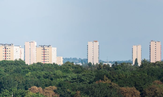 Jakie są najważniejsze aspekty prowadzenia lokalnego biznesu?
